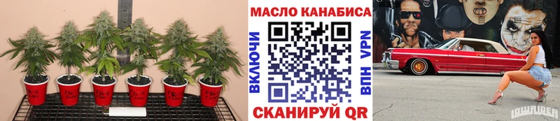продажа наркотиков Мамадыш Дистиллят ТГК концентрат