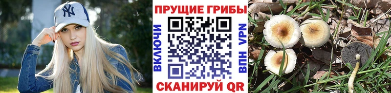 закладка  darknet какой сайт  Галлюциногенные грибы мицелий  Мамадыш 